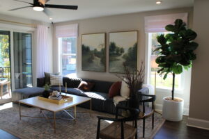 Old Town Village in Waxhaw Town Home