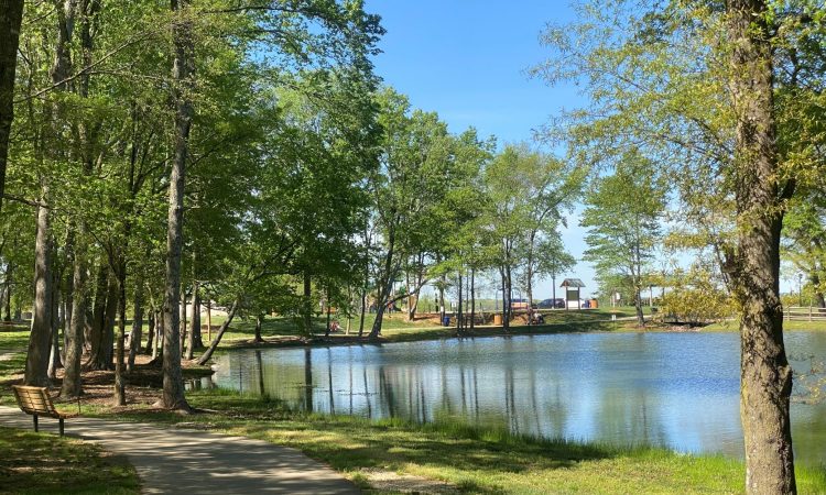 Park with bench, walking trail and pond